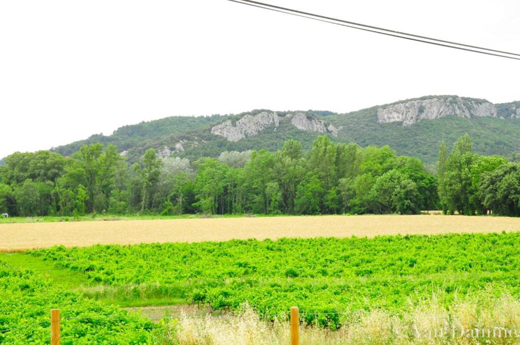 Gites Du Domaine Des Dames Vallon-Pont-d'Arc Exterior photo
